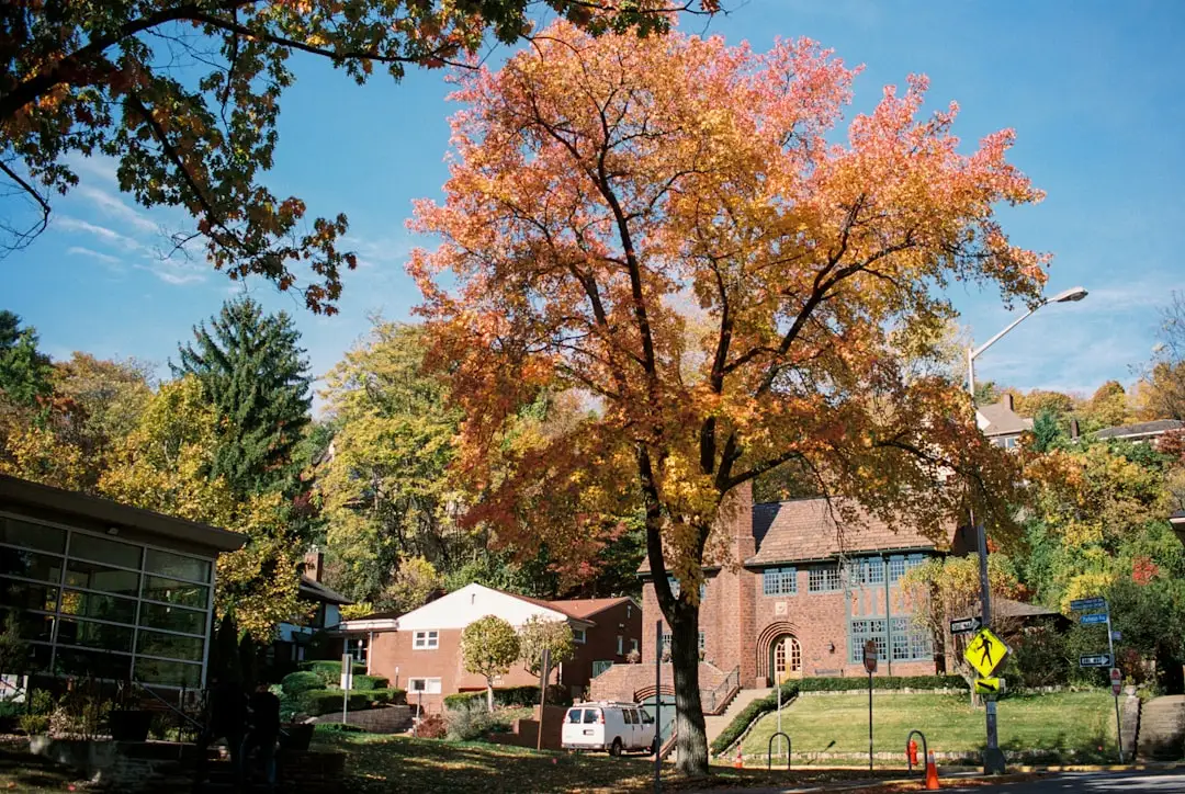 The Yinzer's Guide to Year-Round HVAC and Plumbing Health