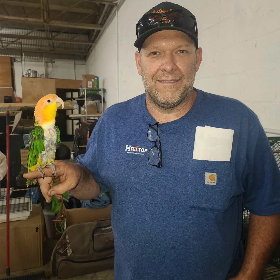 A smiling man in a blue t-shirt and black baseball cap holding a small parrot on his left index finger. The parrot has a yellow and orange head, a white chest, and green wings. Behind him are boxes and cages in a warehouse area.